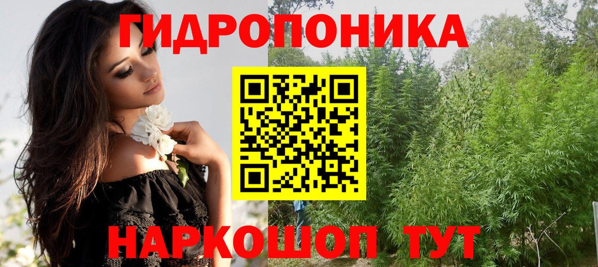 Бошки Шишки AK-47  Марихуана семена  Марихуана планчик  Бошки марихуана AK-47  Вход с VPN  Рязань 
